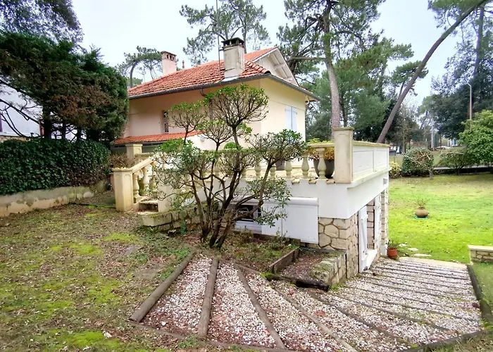 Les Ecureuils Du Parc A 400 M De La Plage