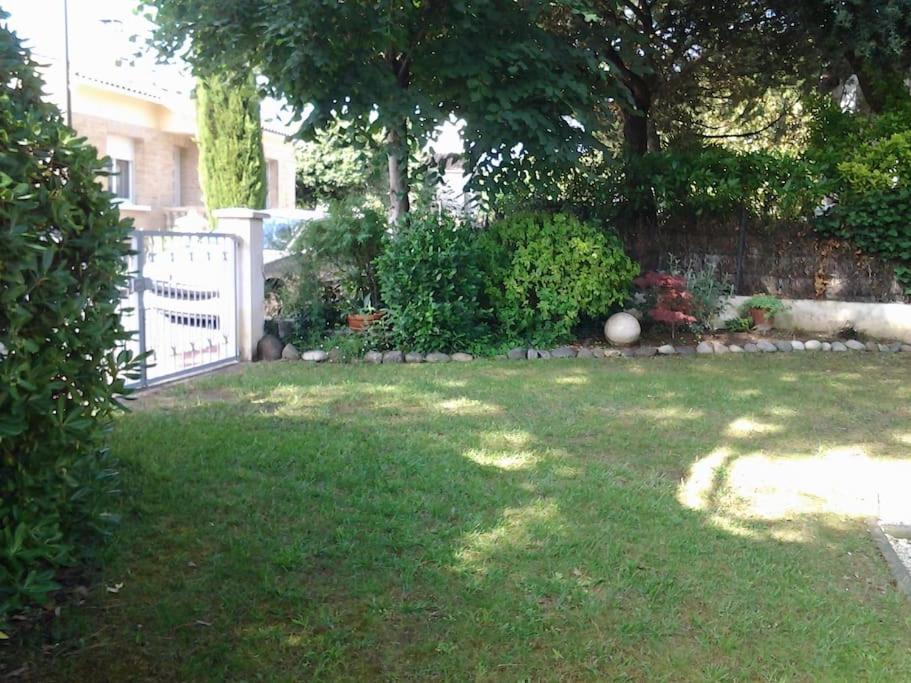 Les Ecureuils Du Parc A 400 M De La Plage